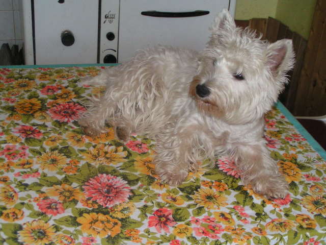 PICT0068
